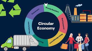 Dynamics Impacting The Recycled Plastic Supply Chain