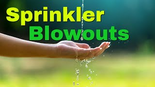 How To Blowout Out Your Sprinkler System #sprinkler #lawn #sprinklersystem #irrigation