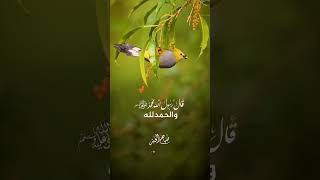 اربع كلمات اصطفاها الله أ.د بدر المشاري #العالم_الاسلامي #shorts