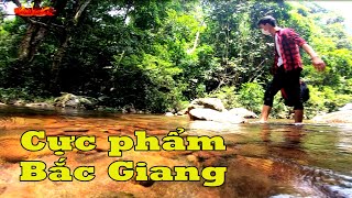 Vẻ Đẹp của Suối Rừng Khe Rỗ ở Bắc Giang khiến bất kỳ ai cũng phải Trầm Trồ