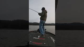 Gunterville Bass CHOKES A Chatterbait!