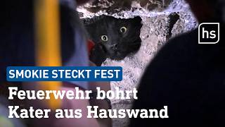 Kater steckt fest: Hier bohrt die Feuerwehr Bürstadt gleich die Wand auf | hessenschau