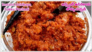 Instant Usirikaya Tokku Pachadi In Telugu | Instant Amla Pickle | ఇన్స్టెంట్ ఉసిరికాయ తొక్కు పచ్చడి