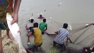 Net fishing, Traditional Net Fishing in Village (Part-1)