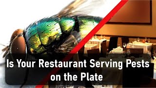 Is Your Restaurant Serving Pests on the Plate?