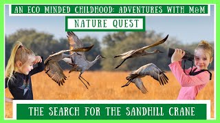 Nature Quest: The Search For The Sandhill Crane