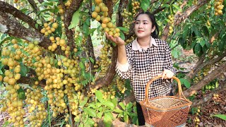 Burmese grape season coming again in my village, Yummy burmese grape - Cooking with Sreypov