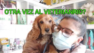 COCKY OTRA VEZ VA AL VETERINARIO (No  dejare que me domine mi Bebe) Verito Vlogs La Bolivianita