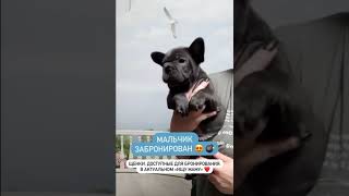 Булочка скоро отправится к маме!