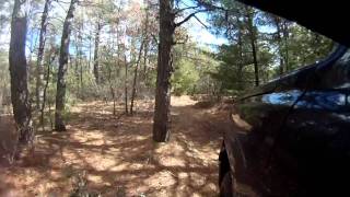 Driving in the woods of CT and RI