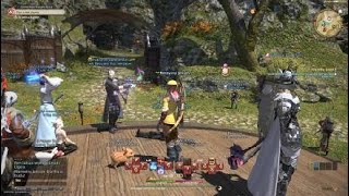 FINAL FANTASY XIV what a great game