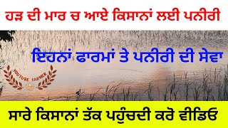 ਝੋਨੇ ਦੀ ਪਨੀਰੀ ਦੀ ਸੇਵਾ । jhone di paneeri । punjab flood