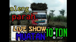 TRUK LIVE SHOW KELUAR DARI LAHAN TEBU OLENG PARAH