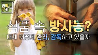 식품에 방사능 물질이? 어떻게 우리는 안전을 확신할 수 있을까? | 다큐쿠키