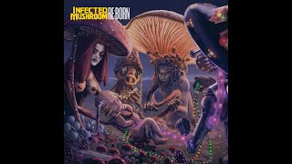 Infected Mushroom Reborn Full Album 2024!