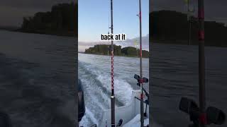 opener for main stem of columbia river chinook fishing heading out #fishing #pnw #salmon #trolling