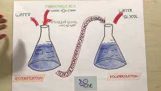 Istanbul Technical University, Team Chemical BEEings