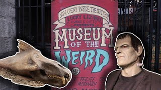 Getting Weird at the Museum of the Weird Austin TX