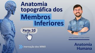 ANATOMIA TOPOGRÁFICA DOS MEMBROS INFERIORES - PARTE 10