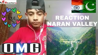 Pakistani Reactions on IRFAN_JUNEJO_GUIDE_TO_NARAN | A.K REACTIONS