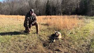 First coyote of the 23/24 season! #trapping #coyotes #outdoors