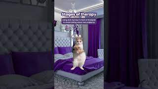 Stages of Therapy