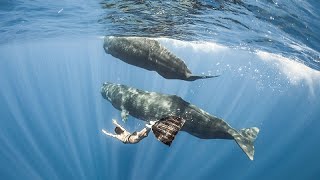 Freediver Marianne Aventurier Who Came Face to Face with Blue Whales