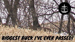 Last Hunt for Lefty. Shed bucks everywhere! Big 8 UPDATE! Dream Update! Urban buck tag EARNED!