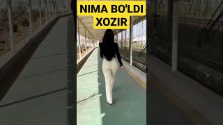 LUIZA NIMA QILDI