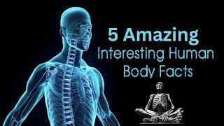 5 Amazing Facts About Human Body - Interesting & Fascinating #factsabouthumanbody