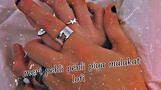 Meri peli peli thi ya mulakat lofi_song 🎵 😘 । instagram viral lofi song 😍