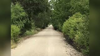 A Very Nice Walk in the Country - Central Kansas Meadowlark Trail