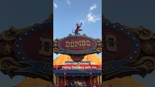 Come ride Dumbo The Flying Elephant with me