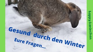 Gesund durch den Winter