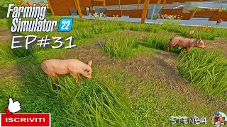 Farming Simulator 22 ita EP#31 PRENDO I MAIALINI RACCOLTA COTONE map Ls22 Ollihausen #sten84