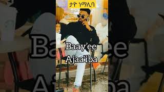 ተዮ ነማሊባ በ ኦሮምኛ #lyricsvideosong