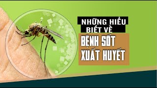 Những hiểu biết về bệnh sốt xuất huyết#sốtxuấthuyết#sotxuathuyet#sốtxuấthuyếtởtrẻem