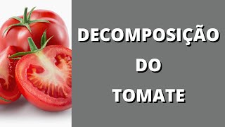 Decomposição de frutas e verduras