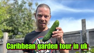 CARIBBEAN GARDEN IN UK TOUR ! AND COOKING MEAL FROM GARDEN (calalloo) M dot R - Cook & Vibe