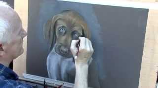 Speed Painting Demo Dog