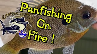 Bluegill Fishing On Fire !