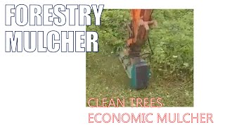 Easy Operating & Grass Clear Cutting Light Forestry Mulcher