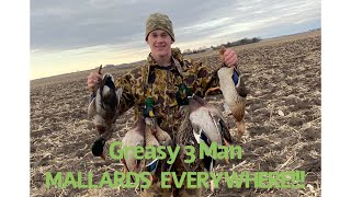 3 Man Mallard Limit! (In Less Then 30 Min.)