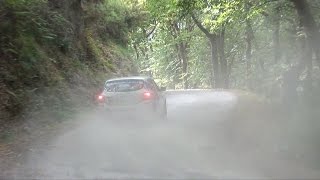 Rally Principe de Asturias 2014  RallyRacing