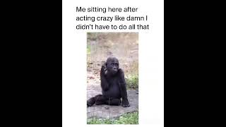 Relatable Funny Moments We’ve All Been Through 😂😂 #laughhardmoments #funnymoments #relatable  #funny