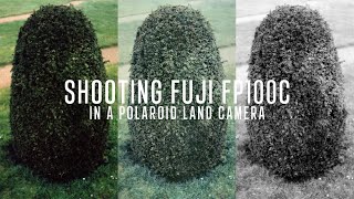 Shooting A Polaroid Land Camera And Peeling The Discontinued Fuji FP100C Pack Film + Darkroom Prints