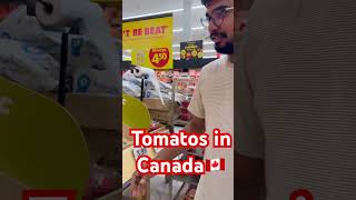 Tomato cost in canada #canada #tomato #shortvideo #viralshorts