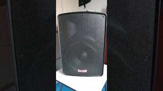 cabina activa Pro dj 15 pulgadas 300 whatts Rms