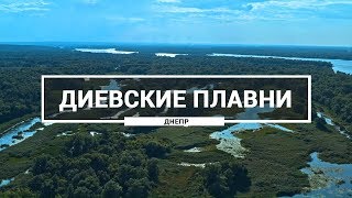 Диевские плавни, Днепр. Как выглядят плавни в Диевке с высоты