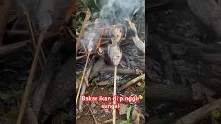 Mancing ikan #part15 #kawanlaladog #mancing #fishing #alam #sibolang #shortvideo #shorts #short